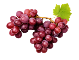 Fresh Grapes Isolated on transparent Background, Vibrant and Juicy Grape Cluster, ai generative png