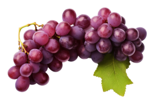fresco uva isolato su trasparente sfondo, vivace e succoso uva grappolo, ai generativo png