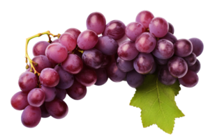 Fresh Grapes Isolated on transparent Background, Vibrant and Juicy Grape Cluster, ai generative png