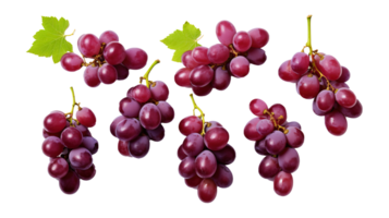 Fresh Grapes Isolated on transparent Background, Vibrant and Juicy Grape Cluster, ai generative png