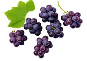 Fresh Grapes Isolated on transparent Background, Vibrant and Juicy Grape Cluster, ai generative png