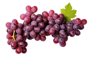 Fresh Grapes Isolated on transparent Background, Vibrant and Juicy Grape Cluster, ai generative png