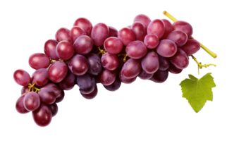 Fresco uvas aislado en transparente fondo, vibrante y jugoso uva grupo, ai generativo png