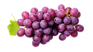 Fresh Grapes Isolated on transparent Background, Vibrant and Juicy Grape Cluster, ai generative png