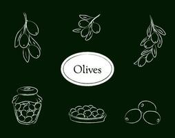 Charcoal style olive set isolated on a green background, vector illustration of fruit, olive branch,  olives in jar, and olives in plate