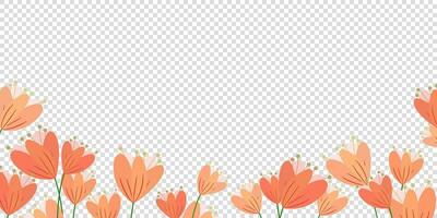 vector poppy flowers border, Eschscholzia. floral elements background