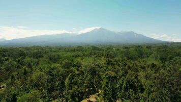 aérien descendant vue de une cascade dans lombok video