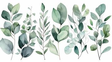 Watercolor Eucalyptus Leaves Border for Wedding Invitations photo