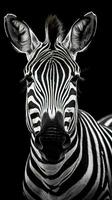 Black and White Zebra on Dark Background in Full Focus Generative AI photo