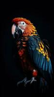 Silhouette Parrot on Dark Background Generative AI photo