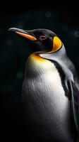 Realistic Penguin on Dark Background Generative AI photo