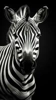 Black and White Zebra on Dark Background in Full Focus Generative AI photo