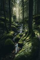 Tranquil Forest with Swaying Trees and Sun Rays photo