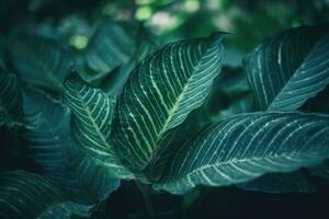 Vintage Green Striped Nature Background with Textured Leaf photo