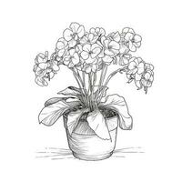 Continuous Line Art Drawing of African Violet Flowering Plant photo