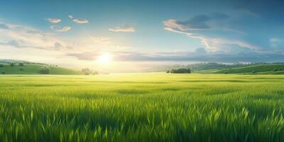 Vibrant Summer Landscape with Lush Green Grass Field and Blue Sky photo