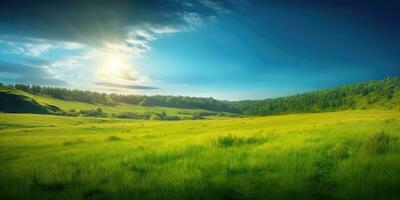 Vibrant Summer Landscape with Lush Green Grass Field and Blue Sky photo