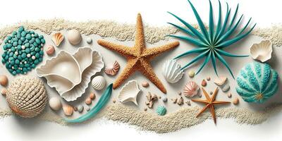 Seashell and Coral Beach Banner on White Sand photo