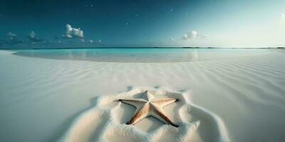 brillante estrella de mar en un hermosa Maldivas playa foto