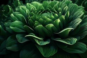 Lush Green Floral Abstraction in Multiple Camera Views photo