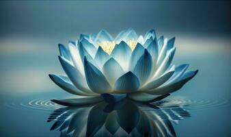 Ethereal Thai Lotus in Dark Blue Water photo