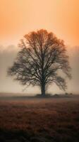 Misty Orange Minimalistic Landscape photo