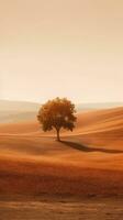 Stunning Minimalistic Landscape of Spain photo