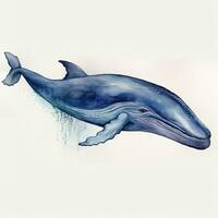 Graceful Blue Whale Swimming in Watercolor photo