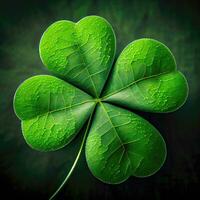 Green FourLeaf Clover for St Patricks Day Celebration photo