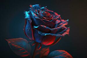 Radiant Red Rose with Blue Glow photo