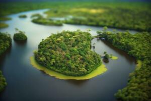 Aerial View of the Amazon Rainforest in Brazil photo