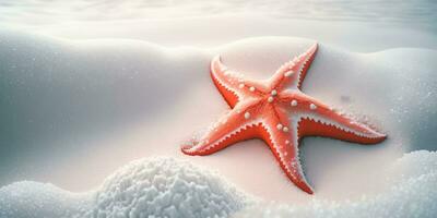Soft Pastel Colors Closeup of Red Starfish on White Sand Underwater photo