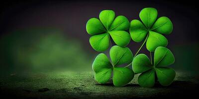 Lucky FourLeaf Clover on Green Background with Copy Space photo