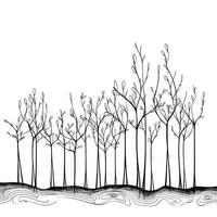 Continuous Line Drawing of Tree Growth Steps  Plants Growing Isolated on White Background photo