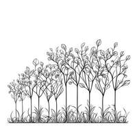 Continuous Line Drawing of Tree Growth Steps Isolated on White Background photo