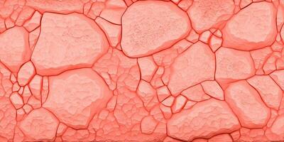 coral rosado Roca textura antecedentes para elegante diseños foto