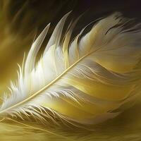 Soft Delicate Yellow Bird Feather photo