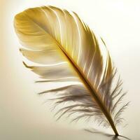 Soft Delicate Yellow Bird Feather photo