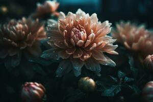 Celestial Floral Elegance A Cinematic Shot of a Highly Detailed Image photo