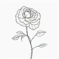 Minimalist Black Linear Design of Rose Flower in Continuous Line Art Drawing Style photo