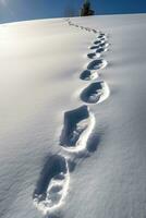 Winter Wonderland Footprints in Fresh Snow on a Sunny Day photo
