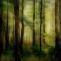 Serene Forest Landscape with Soft Colors photo