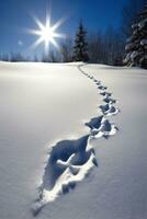 Winter Wonderland Sunlit Footprints in Fresh Snow photo