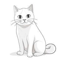 Fluffy Cat Sitting Upright A Simple Illustration photo