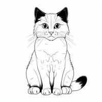 Fluffy Cat Sitting Upright A Simple Illustration photo