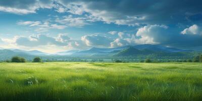 Serene Landscape of Green Fields and Azure Sky photo