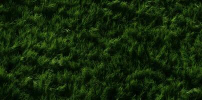 Lush Green Artificial Turf in a Natural Grassy Background photo