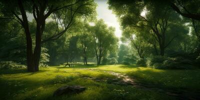 Serene Urban Park with Lush Green Trees and Meadow Landscape photo