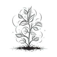 Continuous Line Drawing of a Growing Plant with Simple Linear Style photo