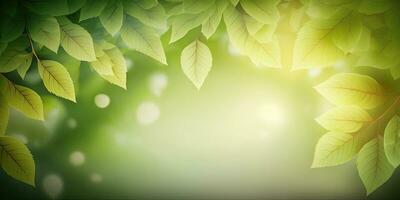 Soothing Green Background with Leaves and Soft Bokeh Light photo